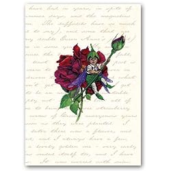 The Rosebud Fairy Combo 5 - 5" x 7" Vellum Overlay Greeting Card
