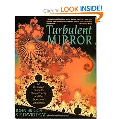 The Turbulent Mirror: Illustrated Guide to Chaos Theory and the Science of Wholeness