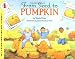 From Seed to Pumpkin (Let's-Read-and-Find-Out Science, Stage 1) (Let's-Read-and-Find-Out Science 1)