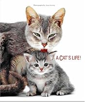 Cat's Life