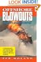 Offshore Blowouts: Causes and Control