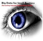 Big Data For Small Business (Big Data...