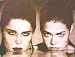 Wild Things ~ Denise Richards & Neve Campbell ~ Classic Scene ~ Rare Poster Print ~ Approx 14 X 11 Inches