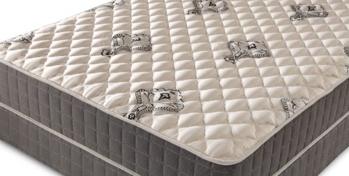 Doctor's Choice Firm Queen Mattress Set
