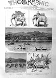 1885 Burma Elephant Battery Tongo India Animals Print