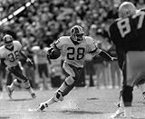 DARRELL GREEN WASHINGTON REDSKINS 8X10 HIGH GLOSSY SPORTS ACTION PHOTO (M)