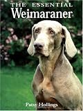 The Essential Weimaraner