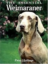 The Essential Weimaraner