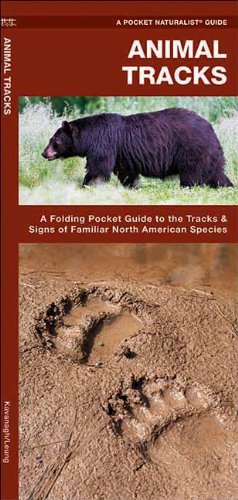 Animal Tracks: A Folding Pocket Guide to the Tracks & Signs of Familiar North American Species (Pocket Naturalist Guide Series)