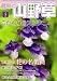 趣味の山野草 2009年 04月号 [雑誌]