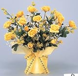 ���G�}�A�[�g�t�����[�@�L�������`�Q�Q�O�R�|�R�U�@
