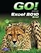 Go! With Excel 2010 Brief (Go! with Microsoft)