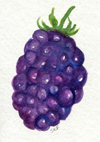ACEO Blackberry Watercolor Painting original art Card original watercolor painting of blackberries