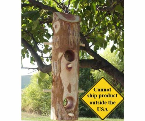 Songbird Essentials - Suet Bird Feeder