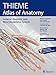 General Anatomy and Musculoskeletal System, 2e (THIEME Atlas of Anatomy) (THIEME Atlas of Anatomy, 1)