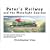 Peter's Railway and the Moonlight Express