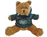Champion Treasures NFL New York Jets Hoodie Bear