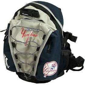 Click here to buy New York Yankees MLB Youth Bat Pack Baseball Bat and Equipment Back Pack by Franklin Sports.