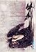 Victoria Frances La Mourte Fabric Poster 30'' x 40''