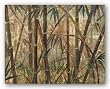 Bamboo Forest I by Judeen 22"x28" Art Print Poster
