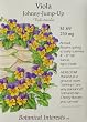 Heirloom Johnny-Jump-Up Edible Flower Seeds