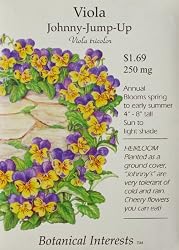 Heirloom Johnny-Jump-Up Edible Flower Seeds