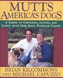 Cover for 9780446519496