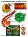 Understanding Cholesterol Anatomical Chart Plastic