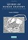 Quirks of Human Anatomy: An Evo Devo Look at the Human Body