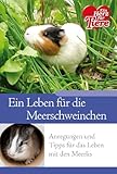 Produkt-Bild: Ratgeber Tiere - Ein Leben f&uuml;r die Meerschweinchen - Anregungen und Tipps f&uuml;r das Leben mit Meerlis