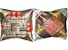 Thanks Giving-2 Deep Cream Orange Blue Sari Zari Borders Toss Pillow Cushion Covers