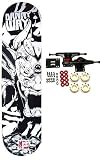 Plan B WAY SAMURAI Complete Skateboard