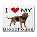 I Love My Bloodhound I Love My Bloodhound