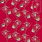 Red Red Robin Christmas Wrapping Paper
