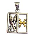 Sterling Silver Pisces Zodiac Pendant Astrology Necklace Jewelry