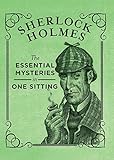 Sherlock Holmes : the essential mysteries in one sitting