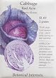 Cabbage "Red Acre" Seeds