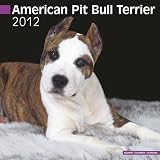 Kalender 2012 American Pit Bull Terrier