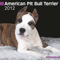 Kalender 2012 American Pit Bull Terrier