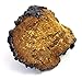 Life Gourmet Shop Chaga Mushrooms Whole 16 oz