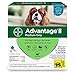Bayer Advantage II Flea and Lice Treatment for Medium Dogs, 11-20 lb, 4 doses