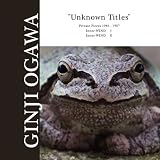 Unknown Titles~(Private Pieces 1986~1987~Inner