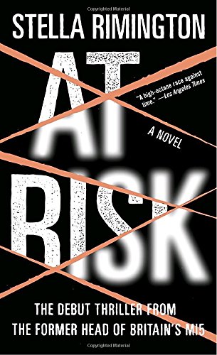 at risk a novel