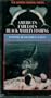 America's Fabulous Black Marlin Fishi [VHS]