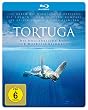 Tortuga - Die unglaubliche Reise der Meeresschildkr�te - Steelbook [Blu-ray]