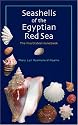 Seashells of the Egyptian Red Sea: The Illustrated Handbook