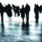 2006 - die interessantesten Ver�ffentlichungen