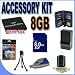 BigVALUEInc Accessory Saver Bundle for Panasonic Lumix DMCTZ15,DMCTZ1, DMCTZ2, DMCTZ3, DMCTZ4, DMCTZ50, DMCTZ5, Digital Cameras CGA-007 Kit Includes Rechargeable Lithium Ion Replacement Battery CGA007 + 8GB SD / HC Secure Digital Memory Card and MORE