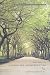 The Art of Landscape Architecture (American Society of Landscape Architects Centennia...