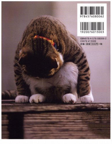 わらいねこ 幸せの招き猫相澤京子